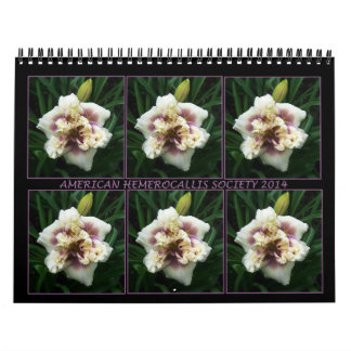 Mural Calendrier de Daylily de 2014 AHS
