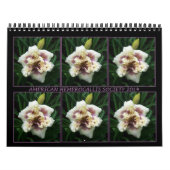 Mural Calendrier de Daylily de 2014 AHS (Protection)