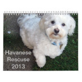 Mural Calendrier de délivrance de Havanese (Protection)