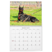 Mural Calendrier de dobermann (Mar 2027)