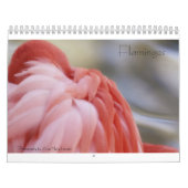 Mural Calendrier de Flamant rose (Protection)