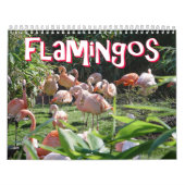 Mural Calendrier de Flamants roses (Protection)