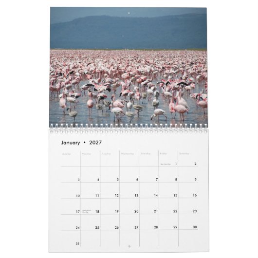 Mural Calendrier de Flamants roses (Jan 2027)