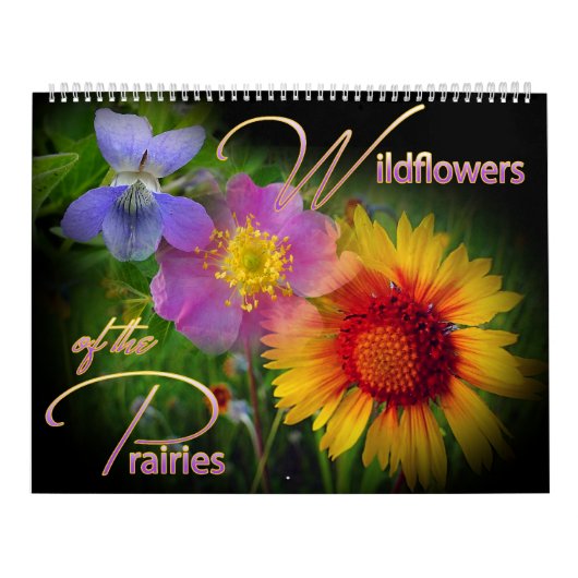 Mural Calendrier de fleur sauvage de prairie (Protection)