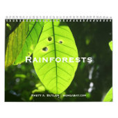 Mural Calendrier de forêts tropicales (Protection)