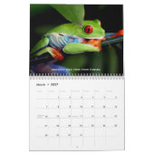 Mural Calendrier de forêts tropicales (Mar 2027)