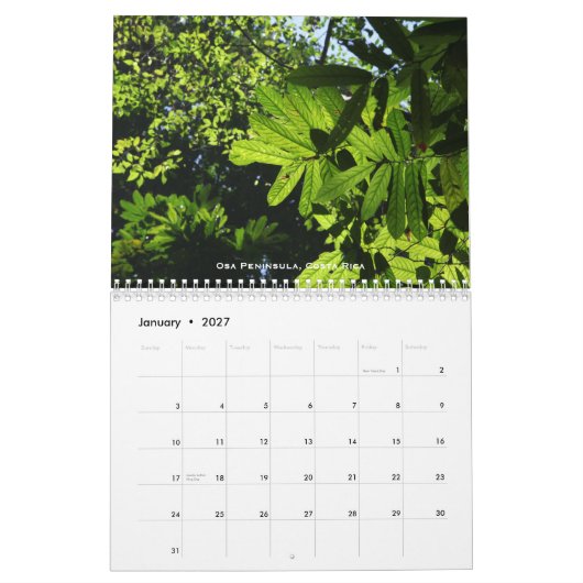 Mural Calendrier de forêts tropicales (Jan 2027)