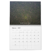 Mural Calendrier de forêts tropicales (Feb 2027)