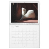 Mural Calendrier de furet - 2ème édition (Mar 2027)