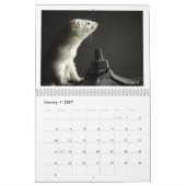 Mural Calendrier de furet - 2ème édition (Jan 2027)
