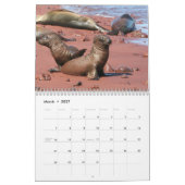 Mural Calendrier de Galapagos (Mar 2027)