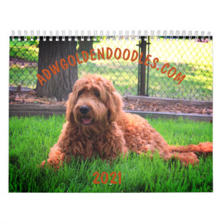 Mural Calendrier de Goldendoodle