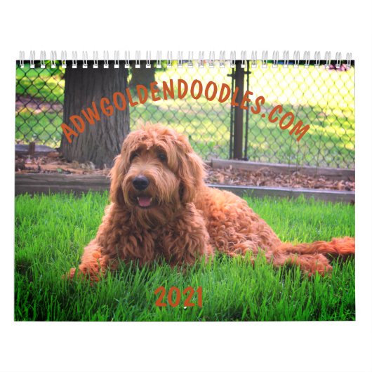 Mural Calendrier de Goldendoodle (Protection)