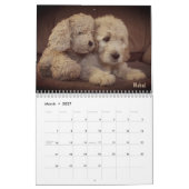 Mural Calendrier de Goldendoodle (Mar 2027)