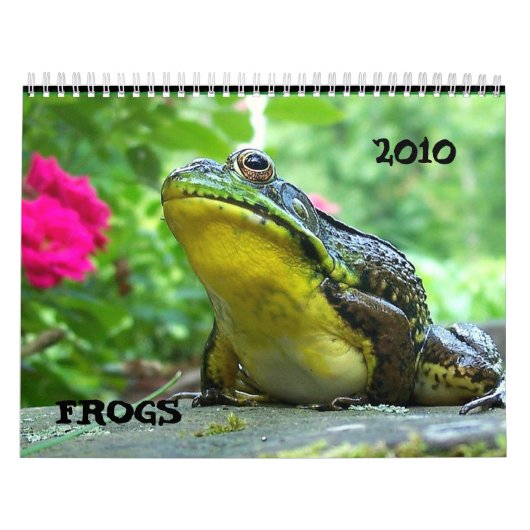 Mural Calendrier de grenouille (Protection)