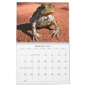 Mural Calendrier de grenouille (Feb 2027)