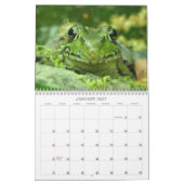 Mural Calendrier de grenouille (Jan 2027)