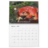 Mural Calendrier de grenouilles (Feb 2027)