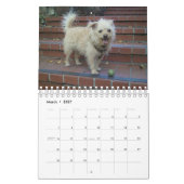 Mural Calendrier de Gwendolyn 2015 (Mar 2027)