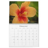 Mural Calendrier de Kauai 2011 (Feb 2027)