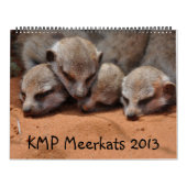 Mural Calendrier de KMP Meerkats 2013 (Protection)