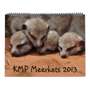 Mural Calendrier de KMP Meerkats 2013