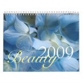 Mural Calendrier de la beauté 2009 (Protection)