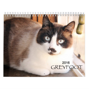Mural Calendrier de la délivrance 2016 de chat de