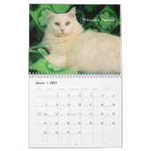 Mural Calendrier de la délivrance 2016 de chat de (Mar 2027)