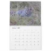 MURAL CALENDRIER DE LA FAUNE AFRICAINE (Jan 2027)