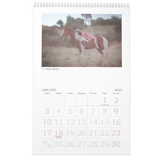 Mural Calendrier de la magazine 2013 de confusion (Jan 2027)