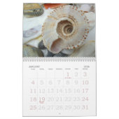 Mural Calendrier de la photographie de coquillages longu (Jan 2026)