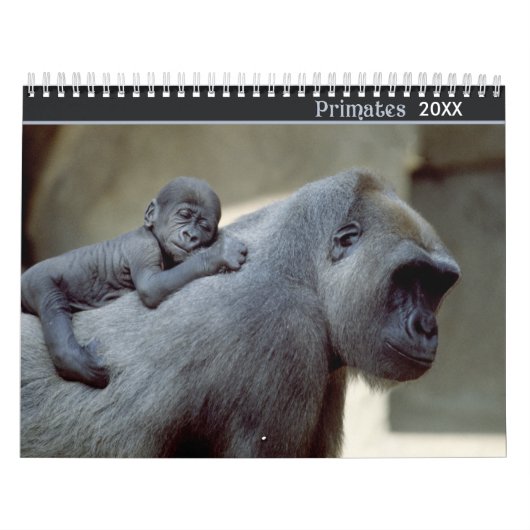 Mural Calendrier de la photographie de la faune des prim (Protection)