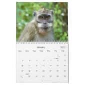 Mural Calendrier de la photographie de la faune des prim (Jan 2027)
