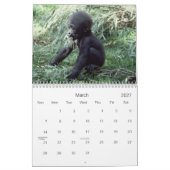 Mural Calendrier de la photographie de la faune des prim (Mar 2027)
