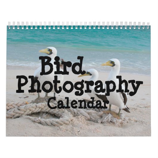 Mural Calendrier de la photographie des oiseaux (Protection)