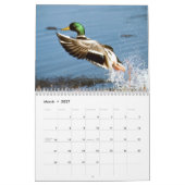 Mural Calendrier de la photographie des oiseaux (Mar 2027)