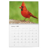 Mural Calendrier de la photographie des oiseaux (Jan 2027)