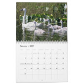 Mural Calendrier de la photographie des oiseaux (Feb 2027)