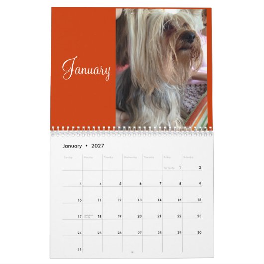 Mural Calendrier de Lanis 2014 (Jan 2027)