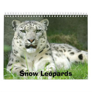 Mural Calendrier de léopards de neige, léopards de neige