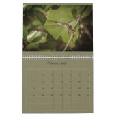 Mural Calendrier de libellule (Feb 2027)