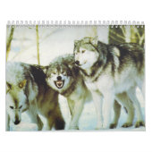 Mural Calendrier de loup (Protection)