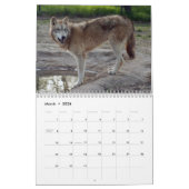 Mural Calendrier de loups gris, loups gris (Mar 2026)