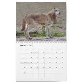 Mural Calendrier de loups gris, loups gris (Feb 2027)