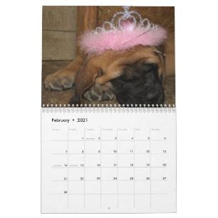 Mural Calendrier de mastiff
