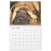 Mural Calendrier de mastiff de sommeil (Mar 2026)