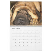Mural Calendrier de mastiff de sommeil (Mar 2027)