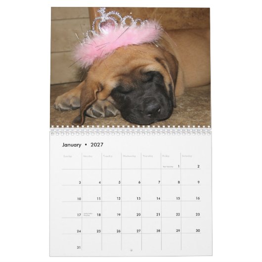 Mural Calendrier de mastiff de sommeil (Jan 2027)