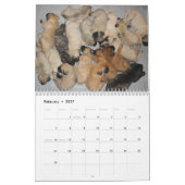Mural Calendrier de mastiff de sommeil (Feb 2027)